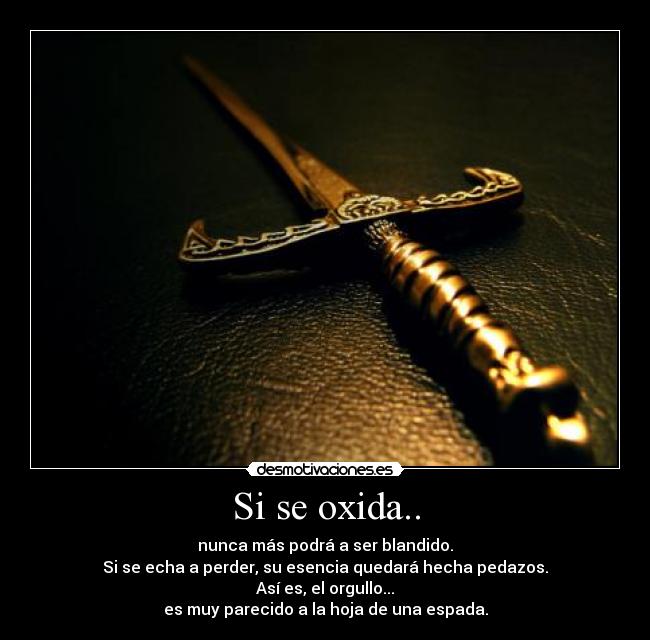 carteles espada bleach oxida desmotivaciones