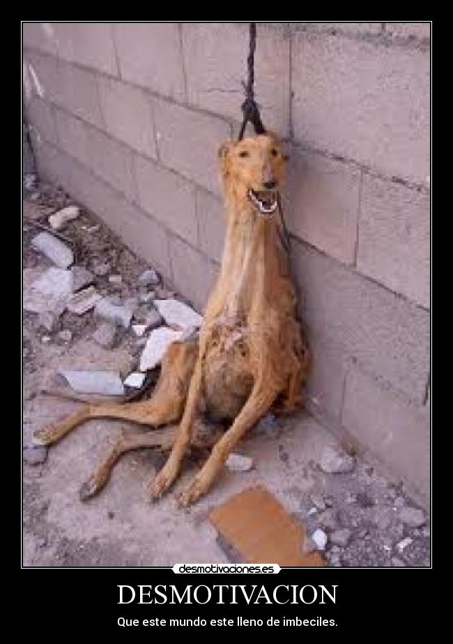 DESMOTIVACION - 