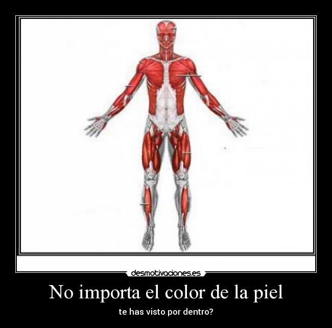 carteles woow desmotivaciones