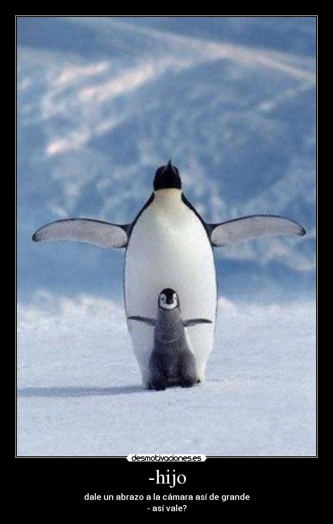 -hijo - dale un abrazo a la cámara así de grande
- así vale?