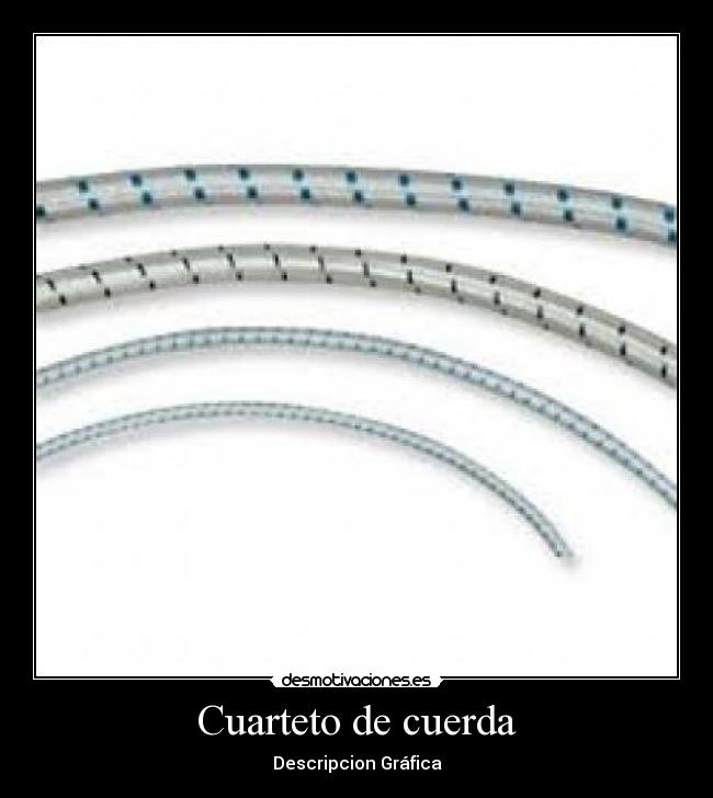 Cuarteto de cuerda -