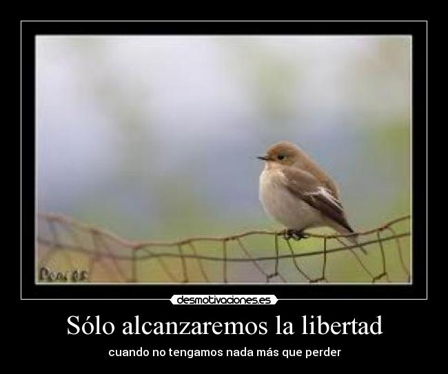 Sólo alcanzaremos la libertad - cuando no tengamos nada más que perder