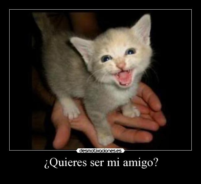¿Quieres ser mi amigo? -