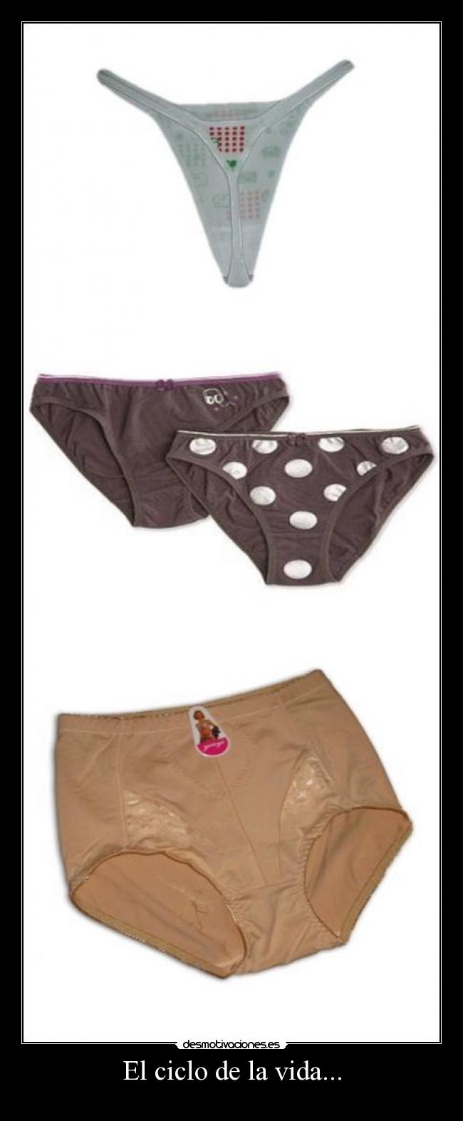 El ciclo de la vida... -