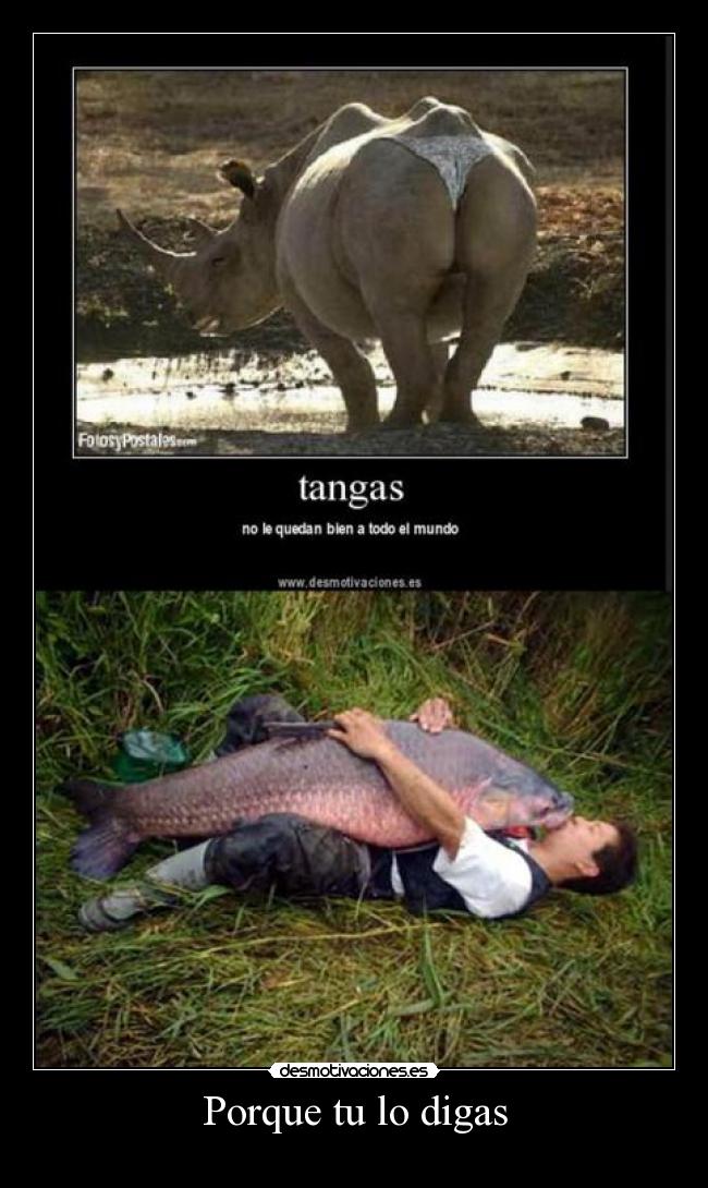 carteles humorrinoceronterinorhinozoofiliazoofilicopezpescadohombre besando pez desmotivaciones