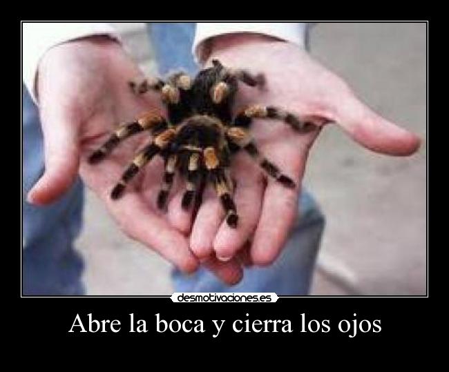 carteles claubc desmotivaciones