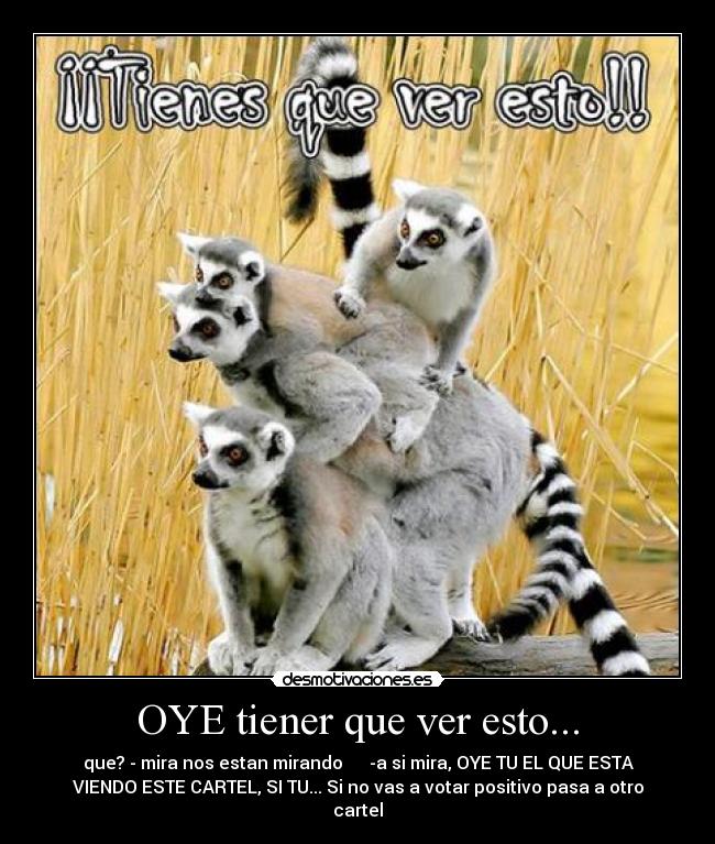 OYE tiener que ver esto... - 