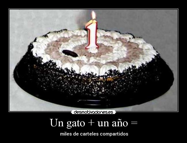 Un gato + un año = - 