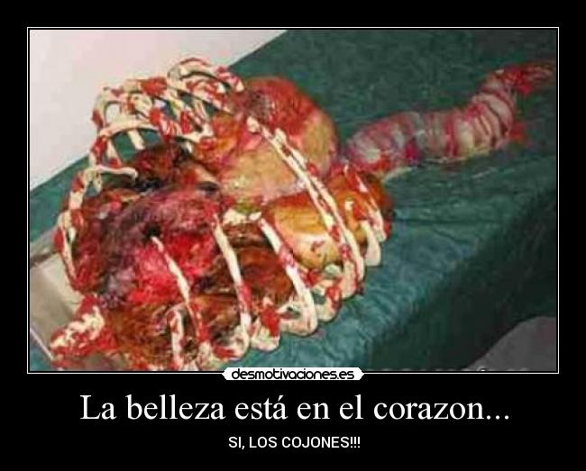 La belleza está en el corazon... - SI, LOS COJONES!!!