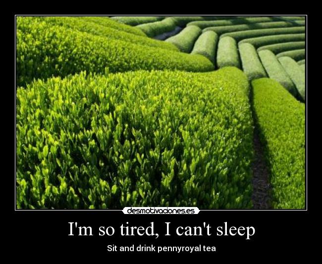 Im so tired, I cant sleep - Sit and drink pennyroyal tea