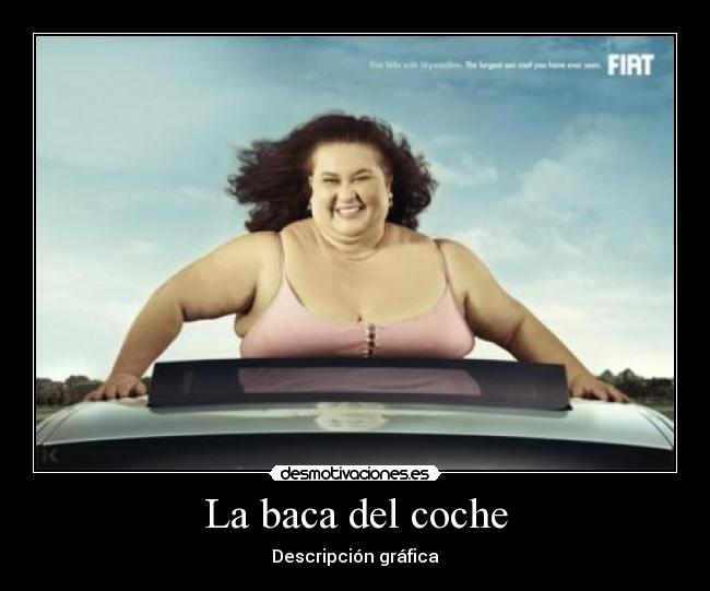 La baca del coche -