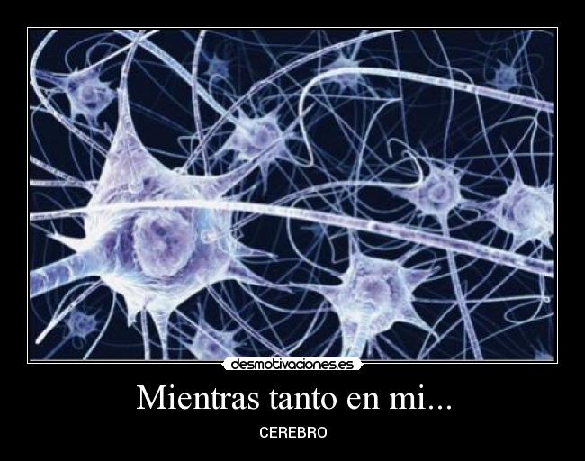 Mientras tanto en mi... - CEREBRO