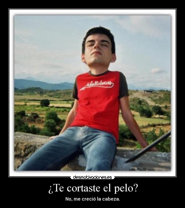 ¿Te cortaste el pelo? - 
