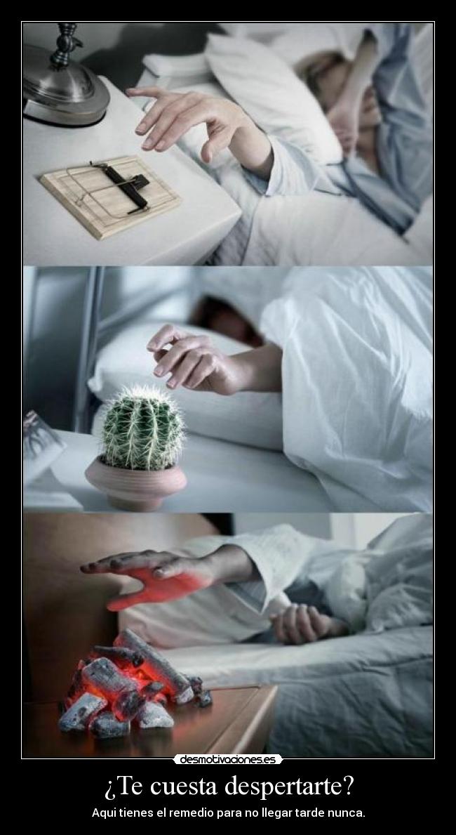 ¿Te cuesta despertarte? - 