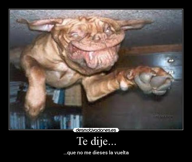 Te dije... - 