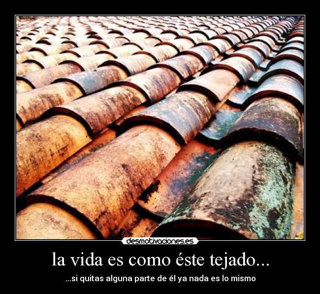 la vida es como éste tejado... - ...si quitas alguna parte de él ya nada es lo mismo