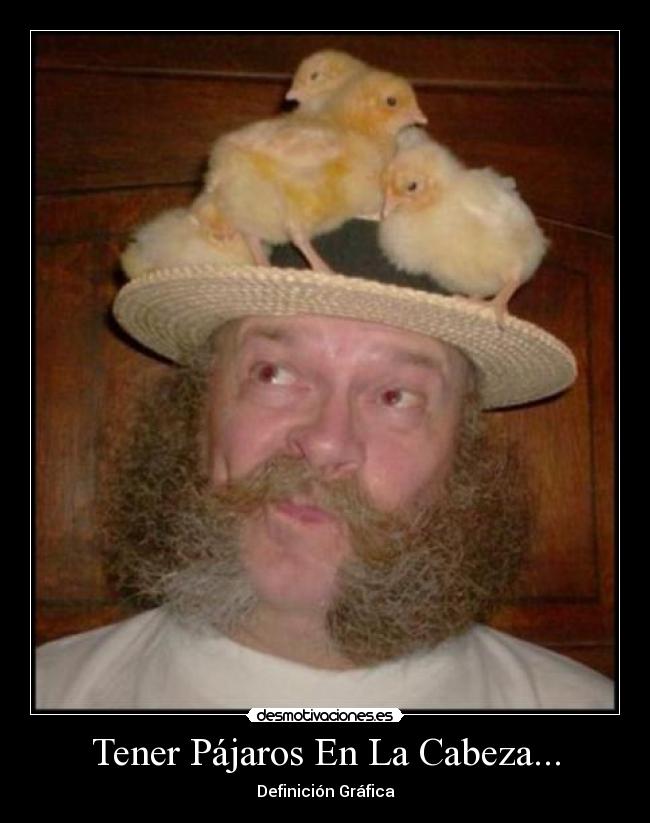 Tener Pájaros En La Cabeza... -