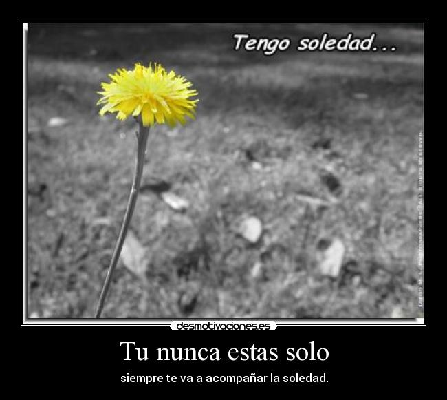 Tu nunca estas solo - siempre te va a acompañar la soledad.