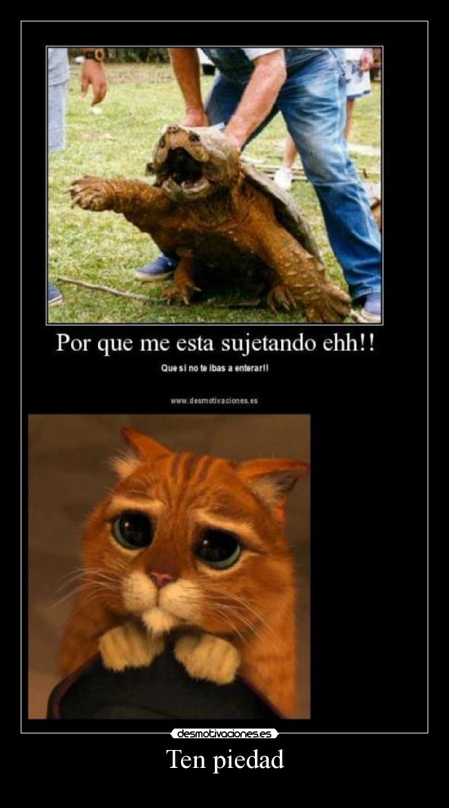 Ten piedad -