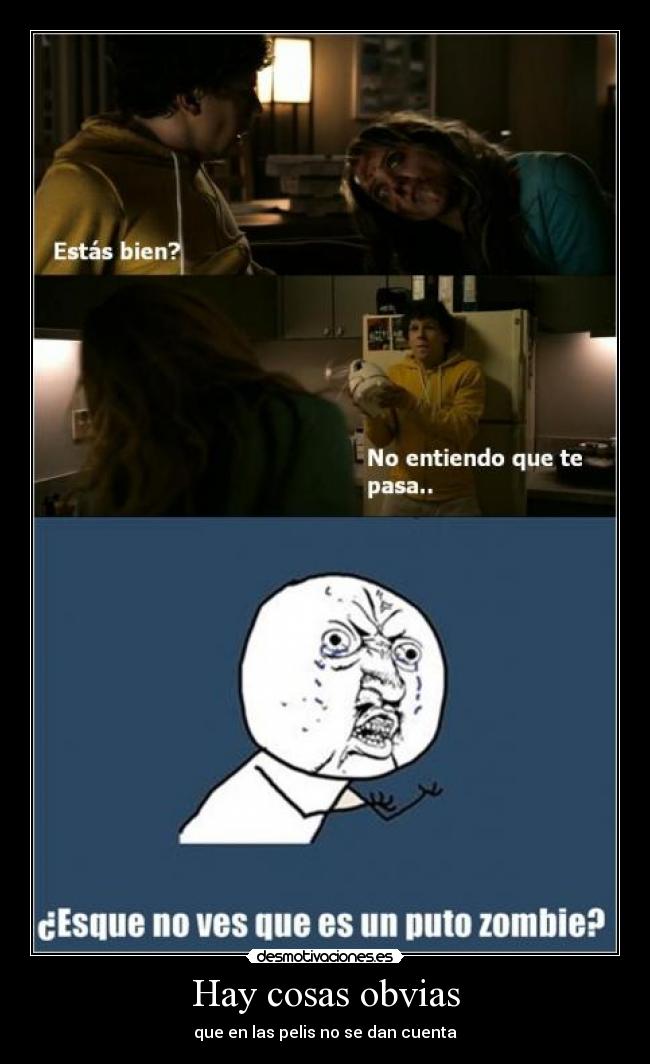 carteles gato desmotivaciones