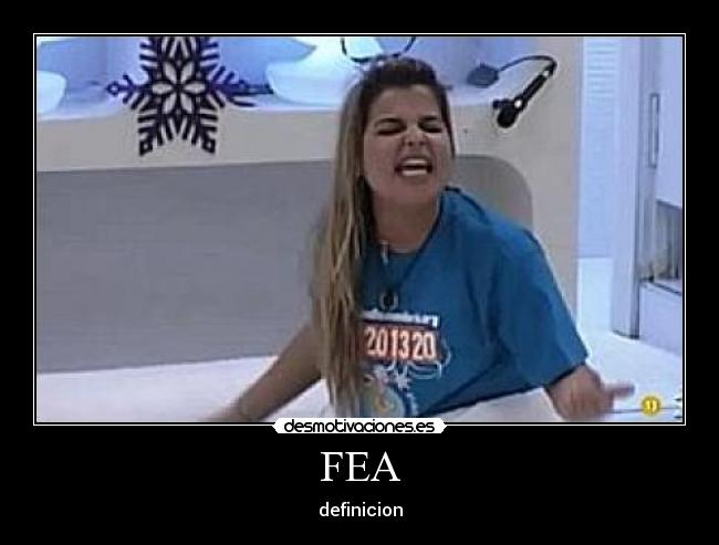 FEA - definicion