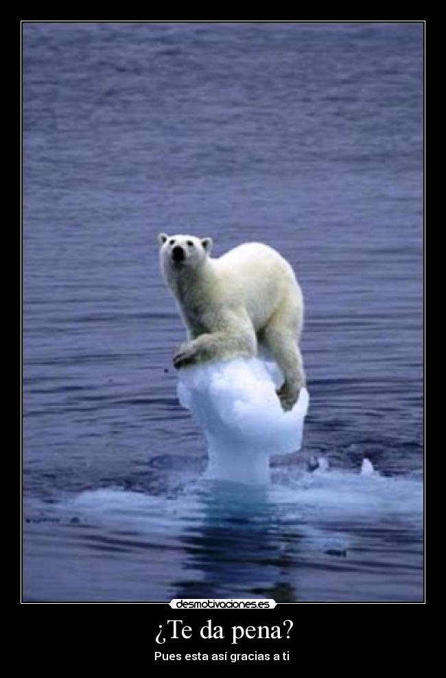 ¿Te da pena? - Pues esta así gracias a ti