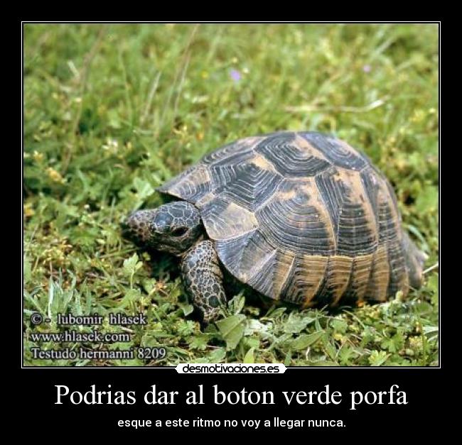 Podrias dar al boton verde porfa -