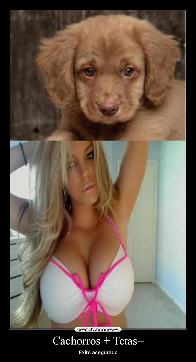Cachorros + Tetas= - Exito asegurado