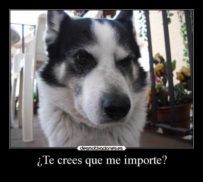 carteles reno desmotivaciones