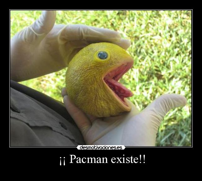 ¡¡ Pacman existe!! -