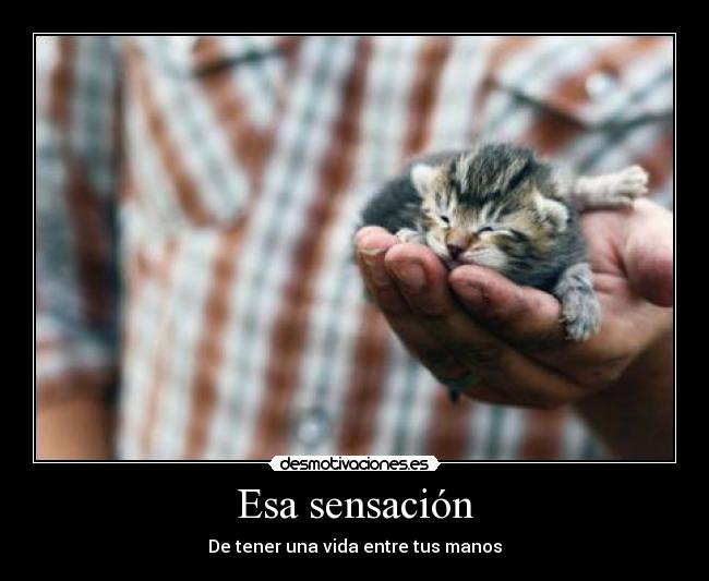 Esa sensación - De tener una vida entre tus manos