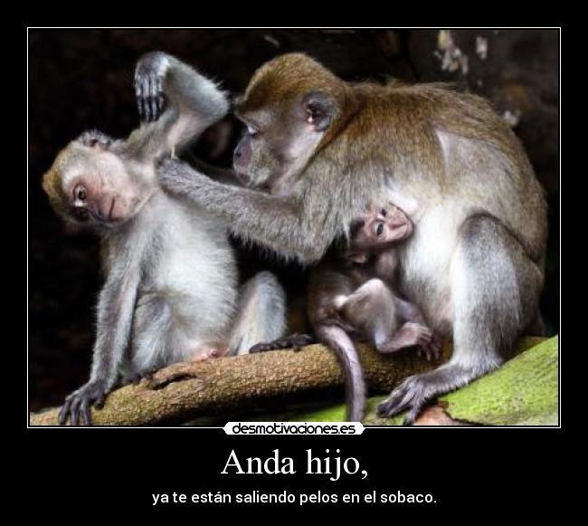 Anda hijo, -