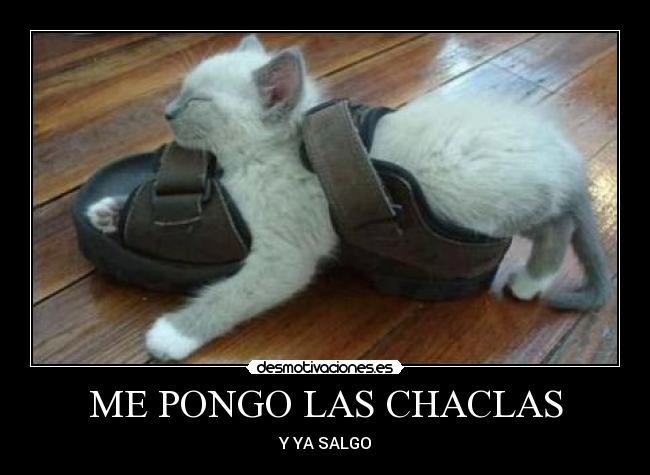 ME PONGO LAS CHACLAS - 