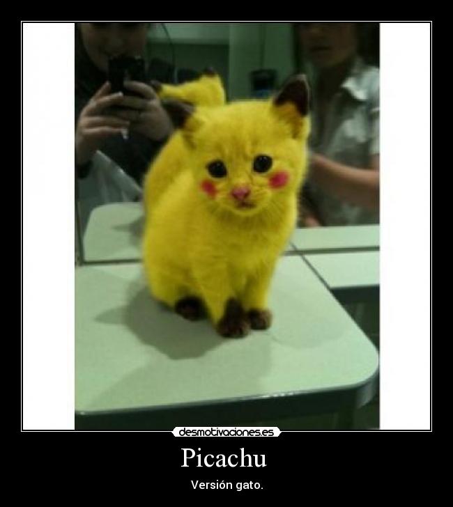 Picachu - Versión gato.