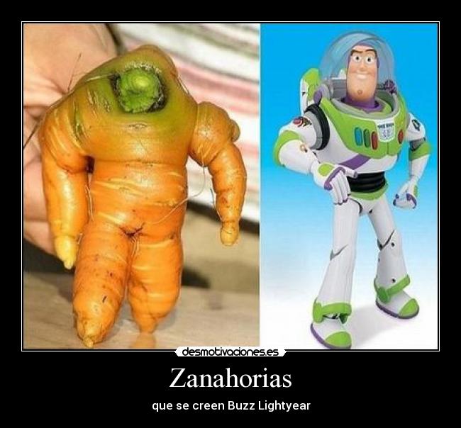 Zanahorias - 