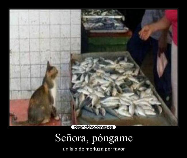 Señora, póngame -