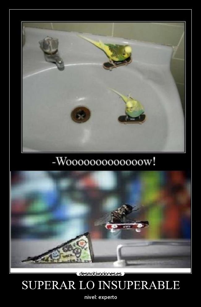SUPERAR LO INSUPERABLE - 