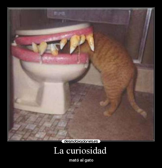 La curiosidad  - 