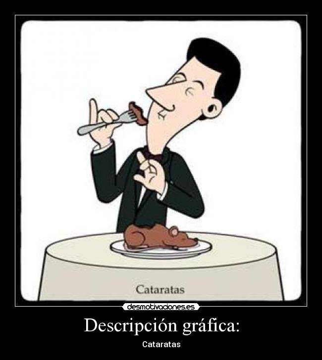 Descripción gráfica: - 