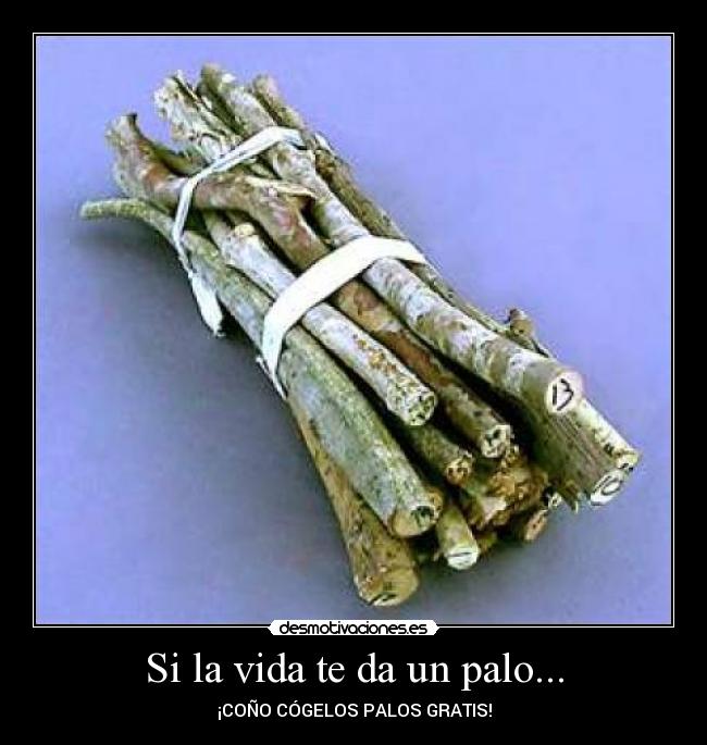 Si la vida te da un palo... - 