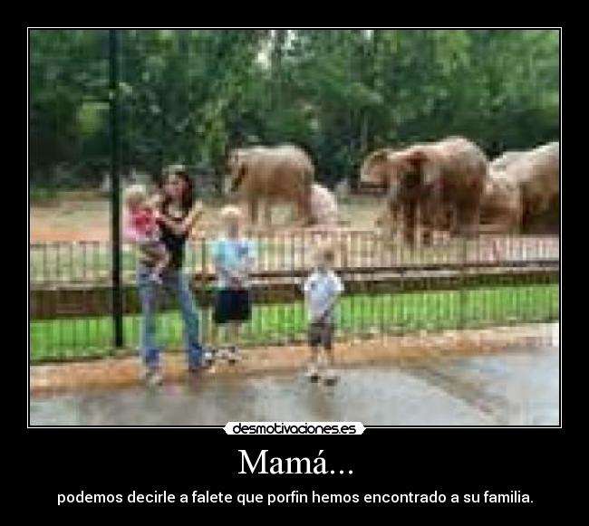 Mamá... - podemos decirle a falete que porfin hemos encontrado a su familia.