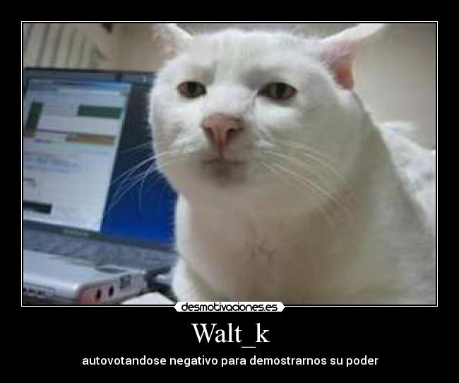 Walt_k - 