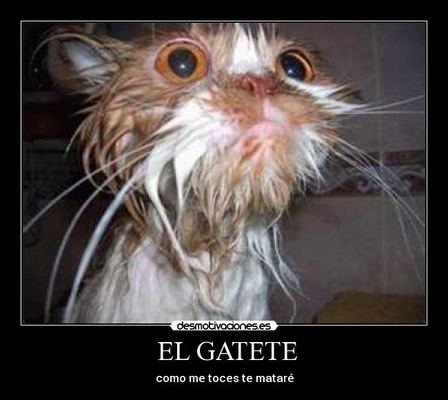  EL GATETE - 