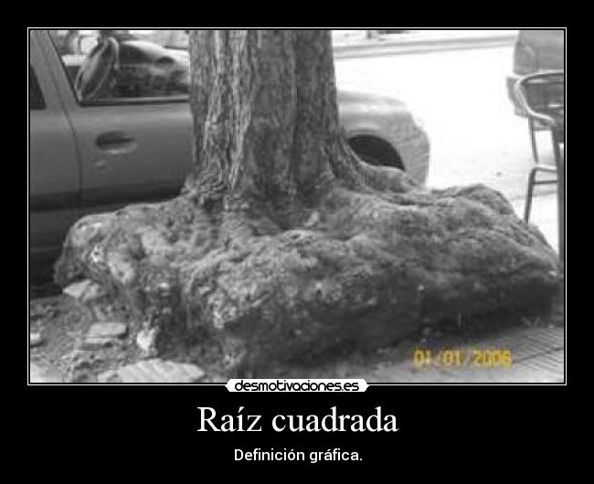 Raíz cuadrada - Definición gráfica.