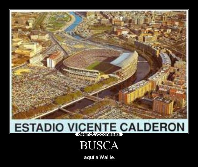 BUSCA - 