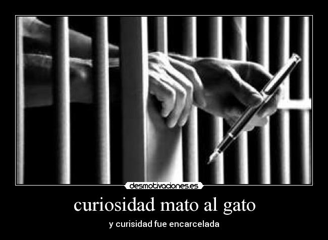curiosidad mato al gato - y curisidad fue encarcelada