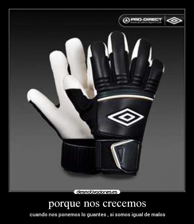 porque nos crecemos - cuando nos ponemos lo guantes , si somos igual de malos