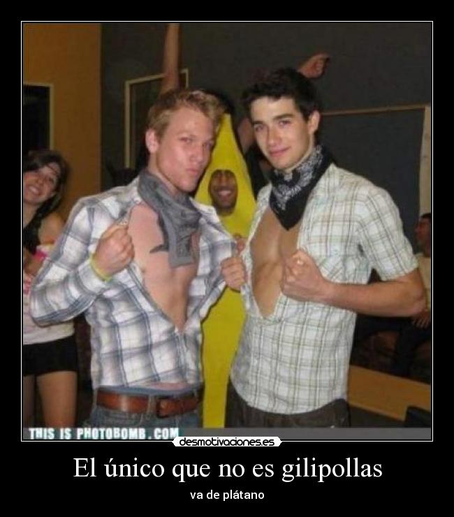 El único que no es gilipollas - 
