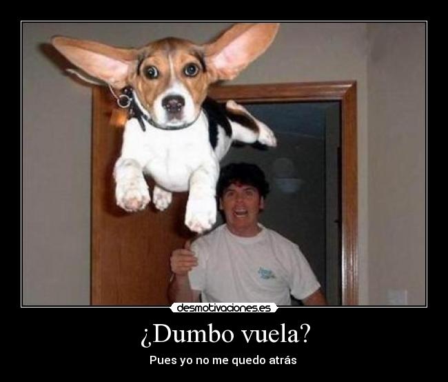 ¿Dumbo vuela? - 