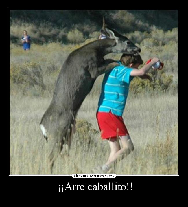 ¡¡Arre caballito!! - 